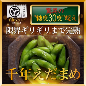 最高糖度40度オーバー超希少な『千年えだまめ』大切な人へ最高の贈り物約1kg