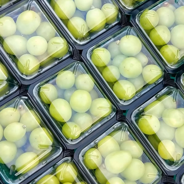 【ぶどう】シャインマスカット #プチ