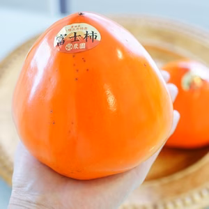 【最終出荷】【大玉】富士柿／家庭用大玉約11個入り