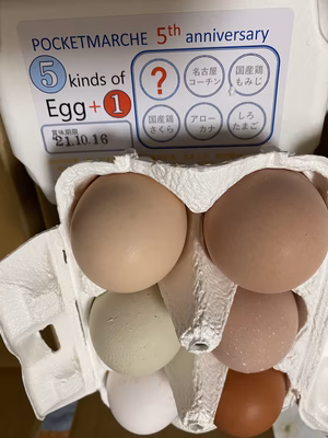 みんなの投稿の画像