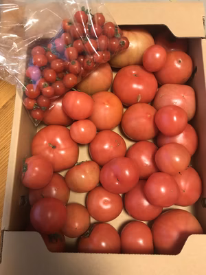 みんなの投稿の画像