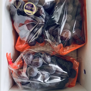 【ご家庭用】 ぶどう 富士の輝◡̈