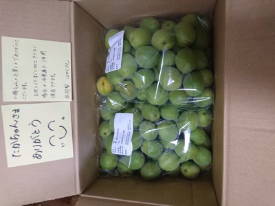 みんなの投稿の画像