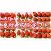 青森県下北産　夏秋いちご「すずあかね」【贈答用】