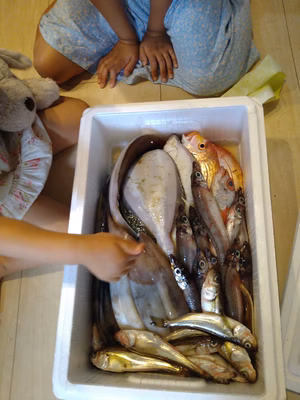 みんなの投稿の画像