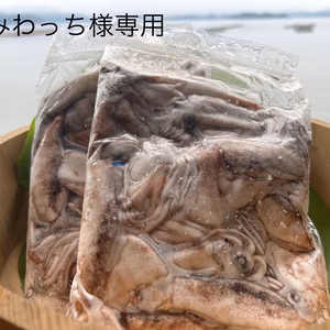 みわっち様専用