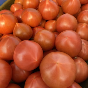 もぎたて新鮮！肉厚フレッシュトマト♪