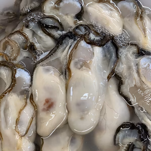 生食可能❗️湧別サロマ湖産❗️2年牡蠣✨剥き身✨500gパック