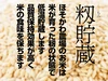  【令和2年産】コシヒカリ　白米（5kg）