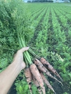 癒しのお野菜セット