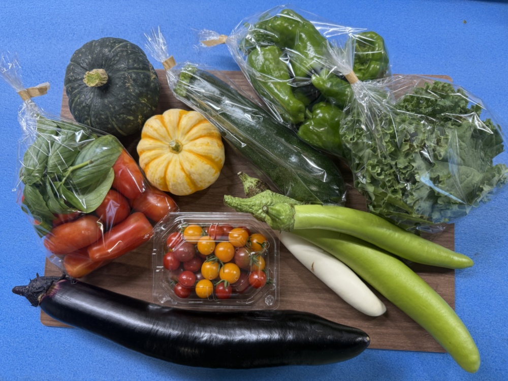 原画　夏野菜3枚セット お試し！夏のごちそう野菜BOX 60おまかせ夏野菜ミックス｜野菜