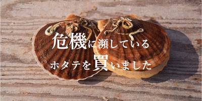 【今年はホタテの危機】それでも最高レベルのものを届けたい。