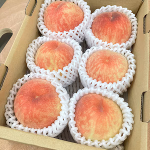 明日発送！さくひめ　家庭用小玉9玉前後