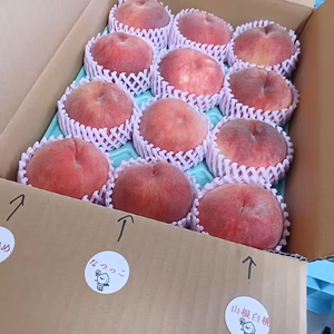 自家用　食べ比べセット(食べきり小玉12個)