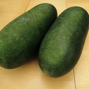 冬瓜 (トウガン)２個入り【完熟・食べごろ】