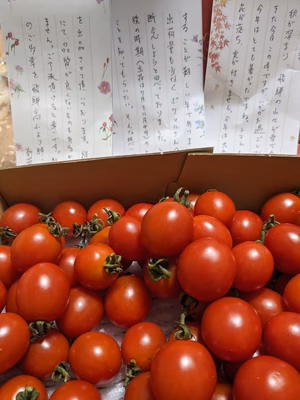 みんなの投稿の画像