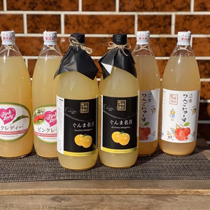 ぐんま名月100%りんごジュース入り！飲み比べセット