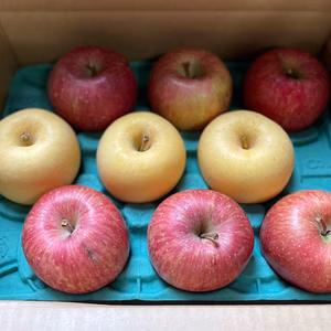 【蜜入り】高級りんご はるか