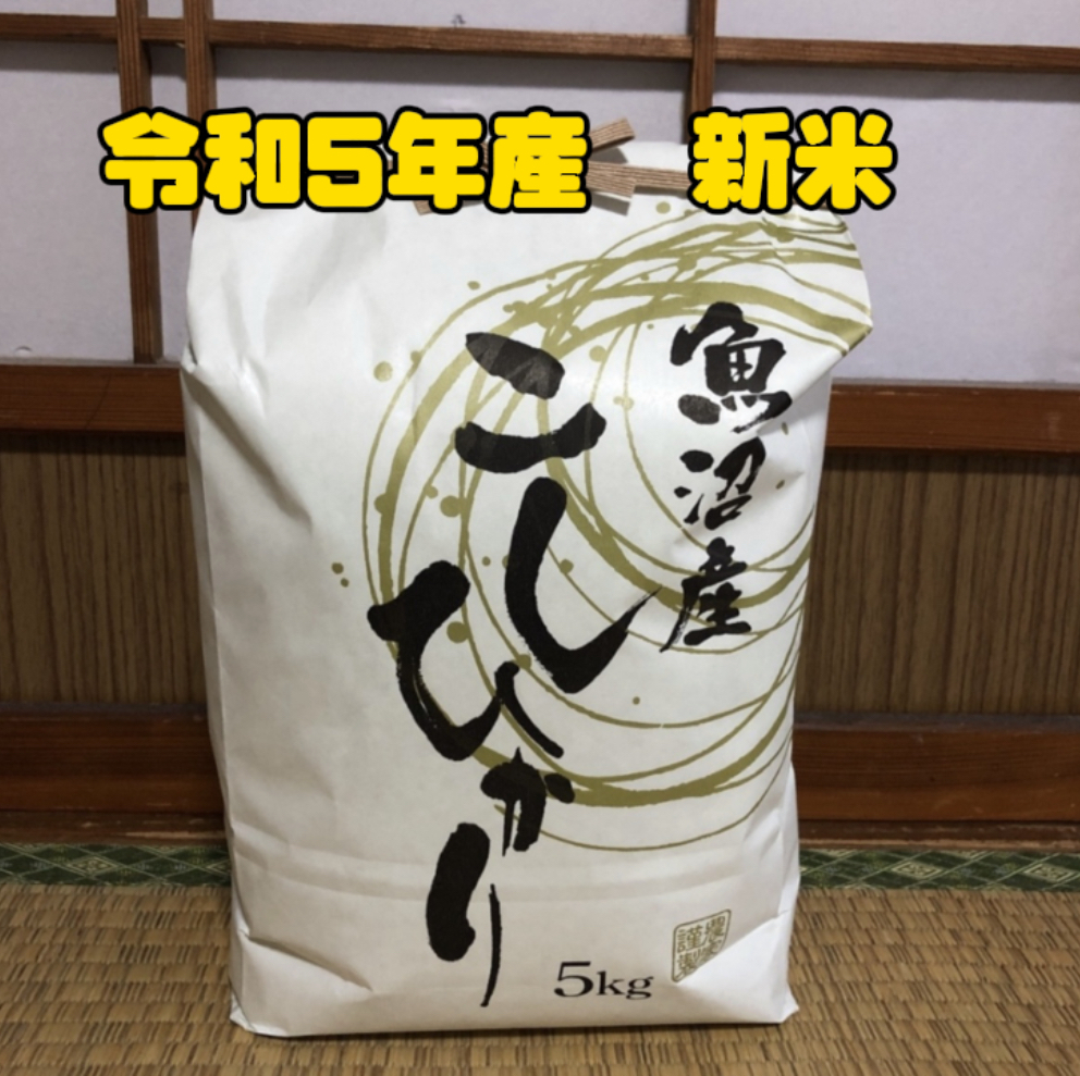 令和5年新米♥愛媛県産コシヒカリ20kg(白米) - 米