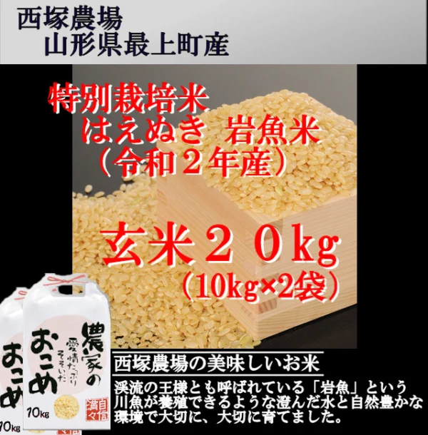 【山形県産 新米】はえぬき 岩魚米（玄米20kg）