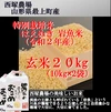 【山形県産 新米】はえぬき 岩魚米（玄米20kg）