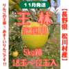 先行予約‼︎りんごの王様⁈王林（おうりん）【長野県松川村産】家庭用