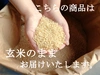 【新米】《玄米》信州産 農薬不使用米 こしひかり 令和5年産