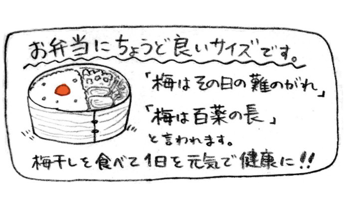 ぽかぽか太陽との共同作業☀️天日干し食材 のたしなみ | 農家漁師から