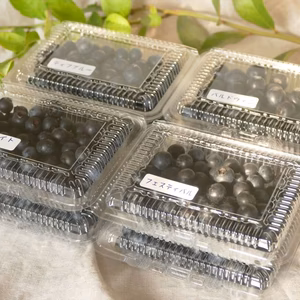  【数量限定】千葉県いすみ産　摘みたて　ブルーベリー　4品種食べ比べセット
