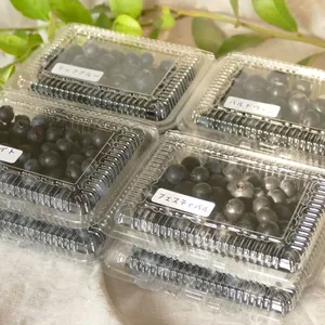  【数量限定】千葉県いすみ産　摘みたて　ブルーベリー　4品種食べ比べセット