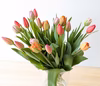 チューリップ アソートセット 20本