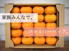 【送料500引き】ひらたねなし柿　ファミリーパック L以上16〜20玉入り　