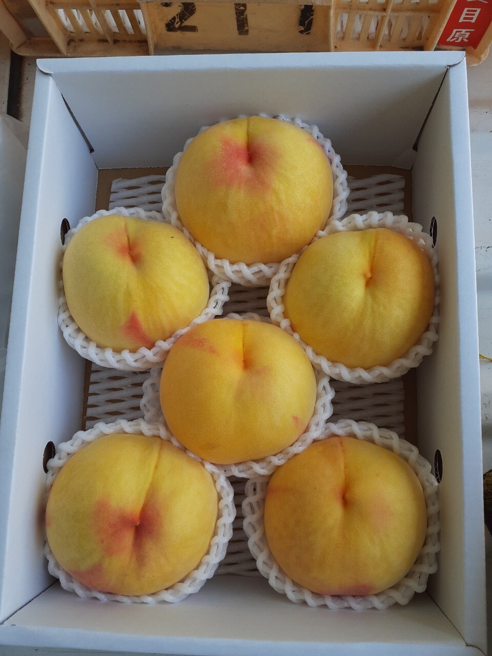 yuko 福島県産　希少　黄金桃　5kg箱に13玉〜14玉×2箱　家庭用 楽天市場】桃 黄桃 ギフト 福島 【 9月上旬-9月中旬発送 黄桃系