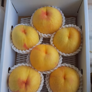 山梨県産！金色に輝く桃【黄金桃】