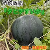 『その価値、美味しさにあり！』タヒチすいか！風味・甘さ・食感抜群！！