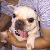 パワフルおやじ