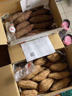 みんなの投稿の画像