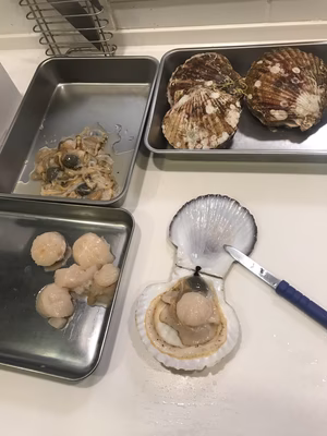 みんなの投稿の画像