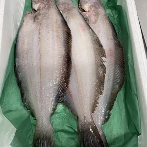 27日水揚げ❗煮付け絶品‼️ ナメタカレイ３枚　1〜2人用