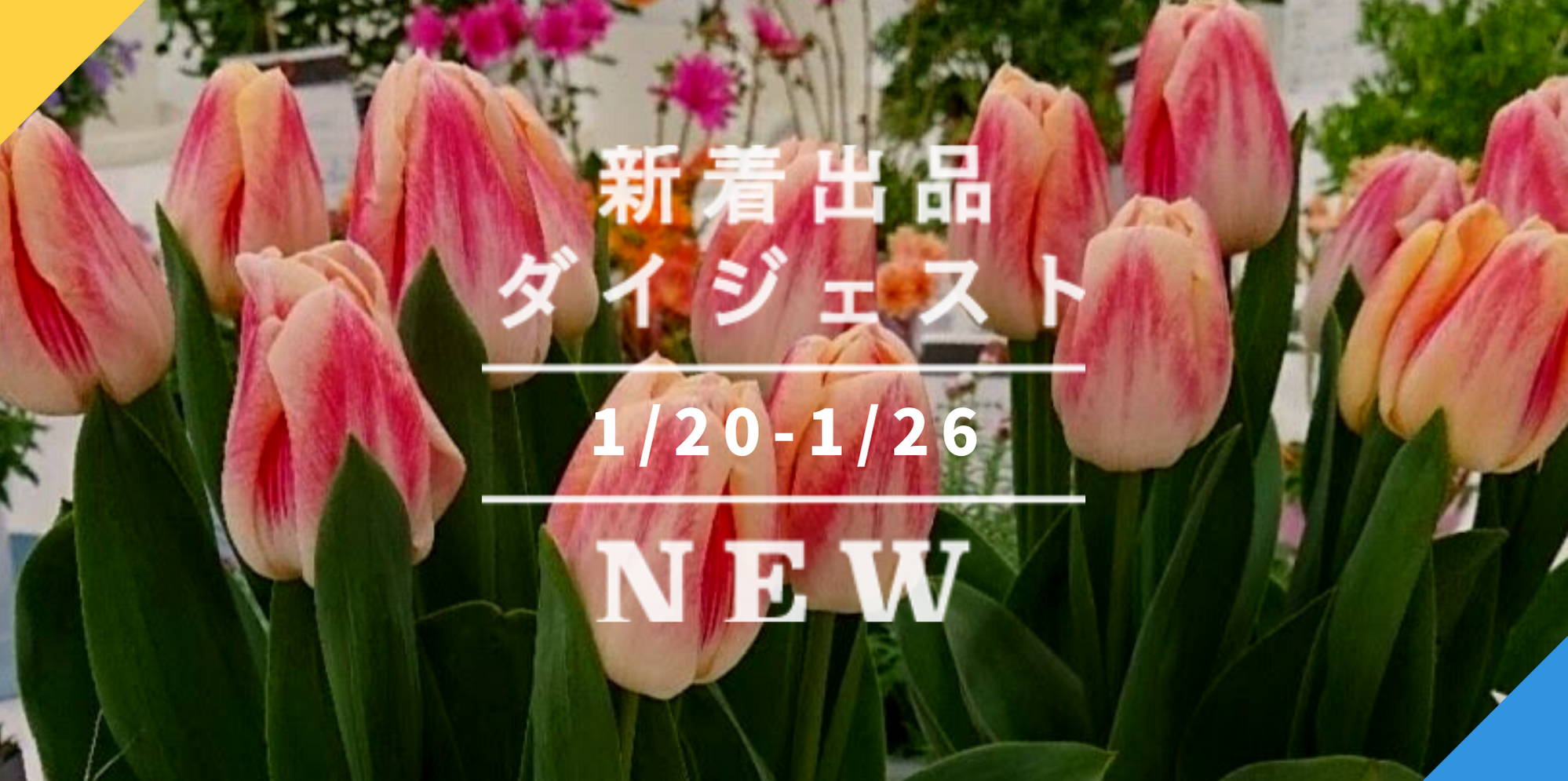 バックナンバー]今週のおすすめ後半②[宅配便編](2021年1月29日編