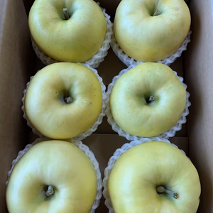 ※青森りんごお試し価格※この甘さを是非！『もりのかがやき』【家庭用】