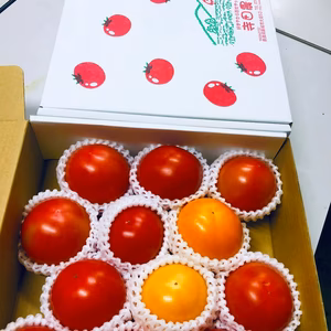 彩りトマト