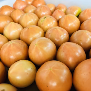 【真夏限定小玉セール！】大玉なのに小玉になっちゃった　3㎏箱　