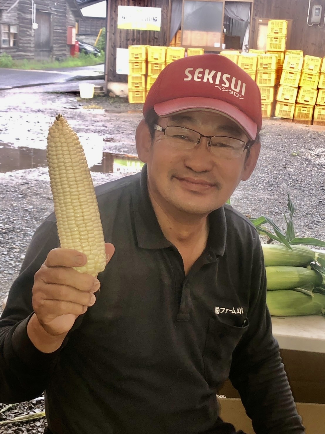 鳥取県東伯郡北栄町｜（株）ファーム山脇｜山脇茂則さんの生産者プロフィール｜ポケットマルシェ｜産地直送で旬の食材が生産者(農家・漁師)から届く