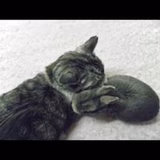 こんどう ゆきこ