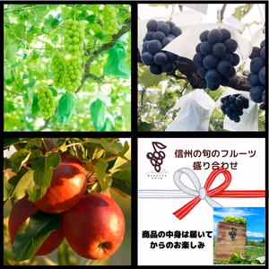 農家おまかせ長野県産♪旬のフルーツ詰め合わせ（ぶどう、ぶどうの粒、りんごetc）