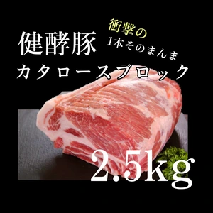 健酵豚カタロースブロック　約2.5kg