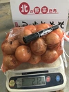 北海道産　新❗️玉ねぎ　小玉5kg
