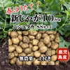 新じゃがいも(ニシユタカ)　無農薬　掘りたて10kg SSサイズ(ピンポン玉)