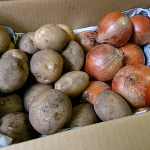 玉ねぎ&じゃがいもセット